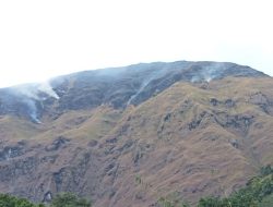 Kebakaran Melanda Kawasan Bukit Anak Dara Gunung Rinjani di Lombok Timur, Pendaki Diimbau Turun