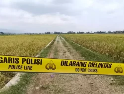 Penemuan Mayat Bersimbah Darah di Sawah Gegerkan Warga Banjarnegara