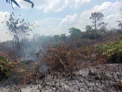 Satu Lahan di Kubu Raya Kembali Terbakar