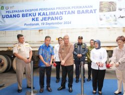 Pj Gubernur Kalbar Lepas Ekspor Perdana Udang Beku ke Jepang