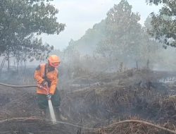 Tiga Hari Lahan di Kubu Raya Terus Terbakar