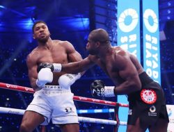 Anthony Joshua Bertekad Kembali Rebut Gelar Kelas Berat