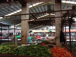 Cuaca Buruk, Harga Tomat di Pontianak Melambung hingga Rp26 Ribu per Kilogram