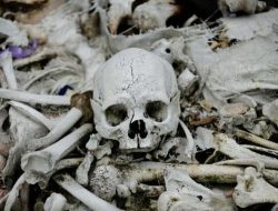 Kerangka Tulang Manusia Ditemukan di Pinggir Tol Rawabuntu Tangsel