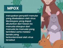 Waspada Penularan Penyakit Cacar Monyet di Singkawang