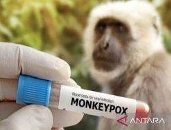 Pakar Kesehatan: Pendekatan Komprehensif Dibutuhkan untuk Hadapi Perubahan Pola Penyakit