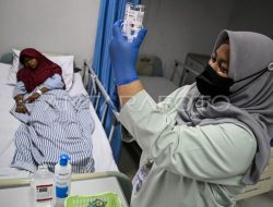 Ikhtiar DKI Lepas Nyamuk Berwolbachia Demi Akhiri Ancaman DBD