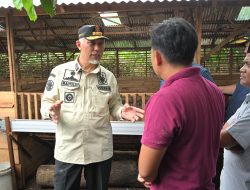Kebijakan Mahyeldi untuk Dongkrak Kesejahteraan Peternak di Sumbar
