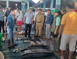 Blusukan ke TPI Oeba, Warga Teriak SIAGA Menang
