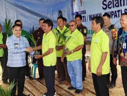 Bupati Sekadau Serahkan Bibit Sawit Unggul kepada Kelompok Tani di Tujuh Kecamatan