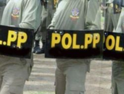 Sat Pol PP Sekadau Kebanjiran Pelamar pada Rekrutmen CPNS 2024