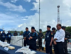Ditjen PSDKP Gagalkan Penyelundupan 85 Ribu Benih Lobster Senilai Rp13 Miliar