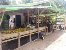 Musim Penghujan: Berkah dan Tantangan bagi Pedagang Buah di Sekadau
