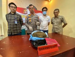Polresta Pontianak Ungkap Jaringan Peredaran Ganja, 1,5 Kg Disita dari Pelaku IN