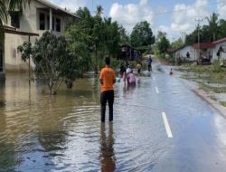 Banjir Meluas di Ketapang, BPBD Kalbar Siapkan Langkah Antisipasi