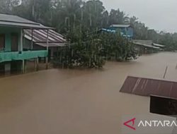 BPBD Kalbar Imbau Warga Ketapang Segera Mengungsi Akibat Banjir yang Meluas