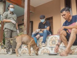 216 Hewan di Ketapang Dapat Vaksin Rabies Gratis, Lindungi dari Penyakit Mematikan