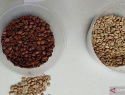 Fugol Coffee Roaster, Tips Menyimpan Kopi untuk Kesegaran Maksimal