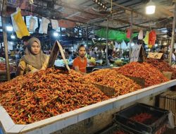 Tingkat Inflasi Kalimantan Barat September 2024 Terkendali di 1,79%