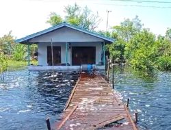 Banjir Melanda Tiga Desa di Sungai Ambawang, Warga Terisolasi dan Butuhkan Bantuan