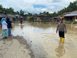 Banjir yang Melanda Tiga Desa di Sultan Daulat Ketinggian Air Capai 5-10 CM