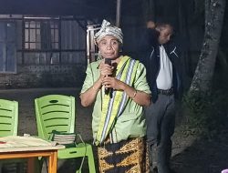 Aktivis Lingkungan Hidup NTT Aleta Baun Dukung SIAGA di Pilgub NTT