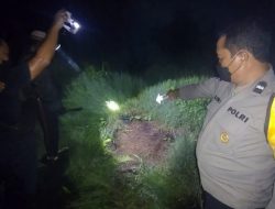 Penemuan Tulang Belulang di Kebun Warga Desa Sukaramai, Identitas Korban Terungkap