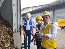 Harga Karet Naik, Petani Kalbar Diimbau Jaga Kualitas Produksi