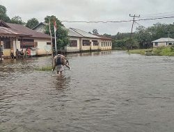 Banjir Melanda Desa Sempurna, Ketapang: Warga Diminta Waspada