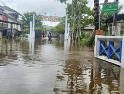 Fenomena Pasang Surut di Pontianak: Ketinggian Air Capai 2,7 Meter, Warga Diimbau Waspada