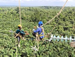 Pembangunan Sistem Kelistrikan 150 kV di Kalimantan: Mewujudkan Interkoneksi Andal untuk Kesejahteraan Masyarakat