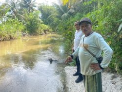 Pemprov Sumbar Sebar Ratusan Ribu Bibit Ikan Garing Kepada Masyarakat