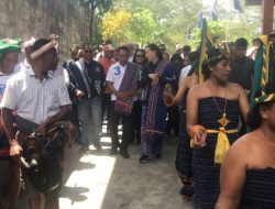 Konsolidasi di Sumba Barat, Julie Laiskodat Disambut Tarian Kataga Wanokaka