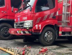 Petugas Damkarmat Yogyakarta Evakuasi Seekor Buaya dari RTH Tegalrejo