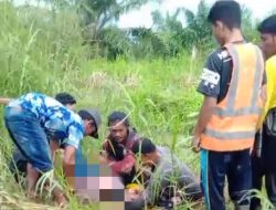 Warga Ketapang Jadi Korban Serangan Buaya di Areal Perkebunan Sawit