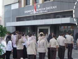 Kota Palembang Torehkan Rekor Pajak, Sarang Burung Walet Jadi Juara