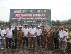 Wakil Bupati Asahan Ikuti Penanaman Perdana Program PSR