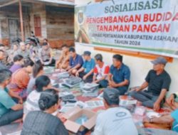 Bhabinkamtibmas Polsek Air Joman Bersama Dinas Pertanian Asahan Laksanakan Sosialisasi Pengembangan Budidaya Tanaman Pangan