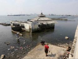 Aktivis Lingkungan Dorong Pemerintah Batalkan Proyek Tanggul Laut Raksasa