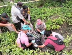 Warga Dusun Palawija Ditemukan Tak Bernyawa di Parit, Diduga Kecelakaan Akibat Jalan Licin
