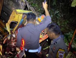 Truk Terjun Bebas ke Jurang di Jalan Trans Kalimantan, Dua Tewas, Satu Luka Berat