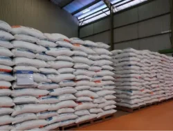 Bapanas Akan Distribusikan Beras SPHP Kemasan 50 Kg ke Wilayah Tertentu