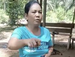 IRT Jadi Korban Penganiayaan di Perkebunan Kelapa Sawit Sungai Laur