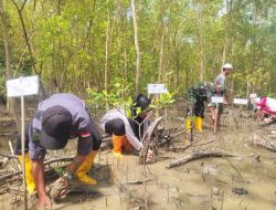 Kemenag Bengkayang Tanam Ratusan Mangrove dan Gerambang dalam Rangka HAB 2025 di Desa Karimunting