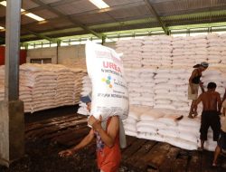 27.092 Transaksi Penebusan Pupuk Subsidi di Awal Tahun, Pupuk Indonesia Dukung Swasembada Pangan