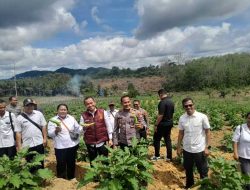 Polri Dukung Ketahanan Pangan di Landak, Gelar Penanaman Jagung dan Program Pekarangan Pangan Bergizi