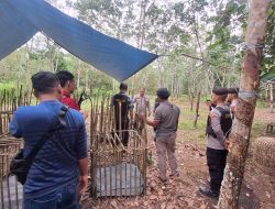 Penggerebekan Arena Sabung Ayam di Desa Air Itam, Polsek Penukal Abab Musnahkan Barang Bukti