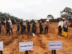 Penanaman Jagung 1 Juta Hektar Diluncurkan di PALI, Kolaborasi Strategis Menuju Ketahanan Pangan Nasional 2025 