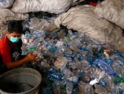 20 Tahun Jadi Pemulung, Perdi Tak Pernah Tersentuh Bantuan Pemerintah