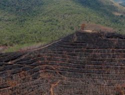 Indonesia Jadi Tuan, Rumah Forum Agraria se-Asia 2025: Harapan, Arti dan Tujuan